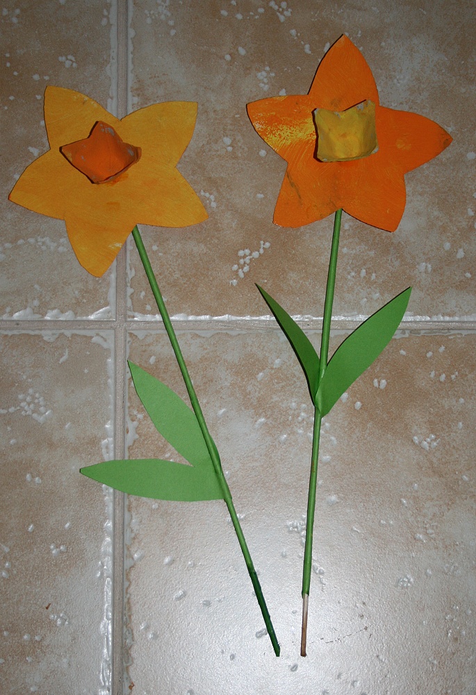 4. narcisky