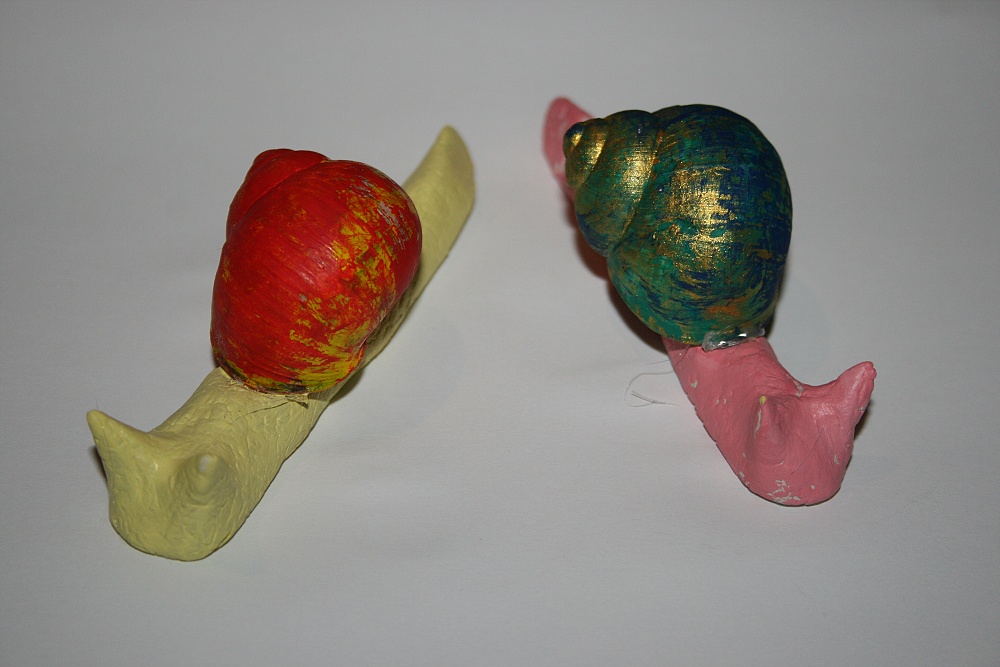 31. sneci