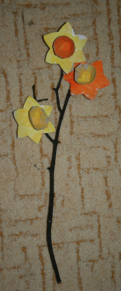 55. narcisky