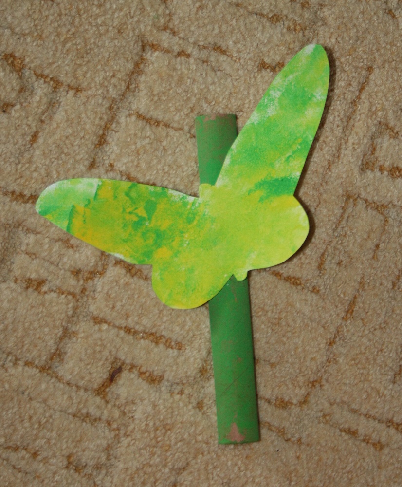 67. motyl
